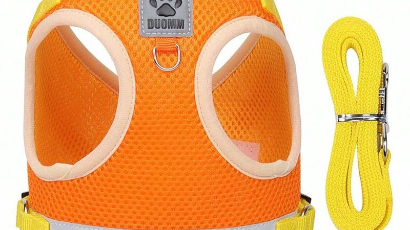 低温冷水机组：揭秘其代理加盟批发价格背后的真相